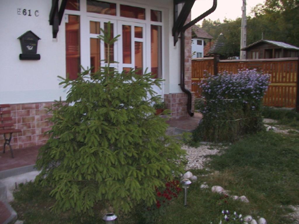 Pension Piatra Craiului 모이에치우 데 조스 외부 사진